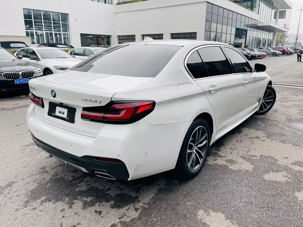 BMW 5 Series 2021 из CN, фото 9