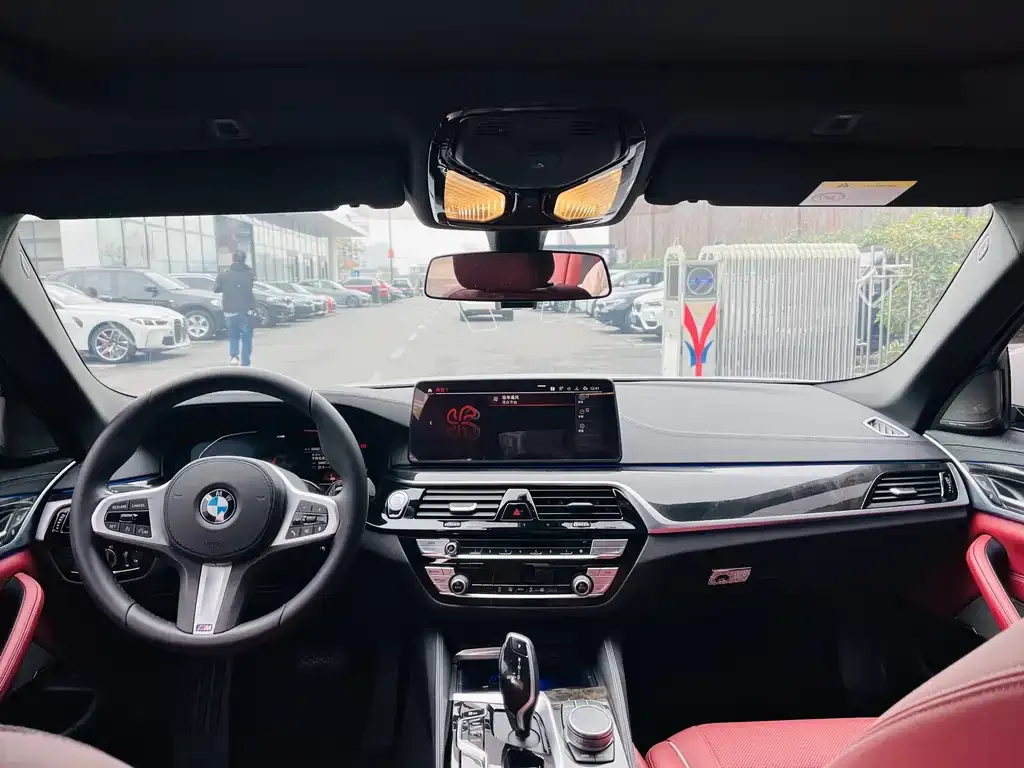BMW 5 Series 2021 из CN, фото 8
