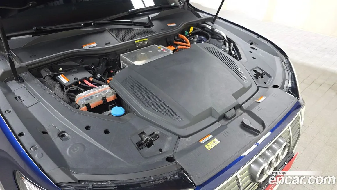 Audi e-tron 2021 из KR, фото 8