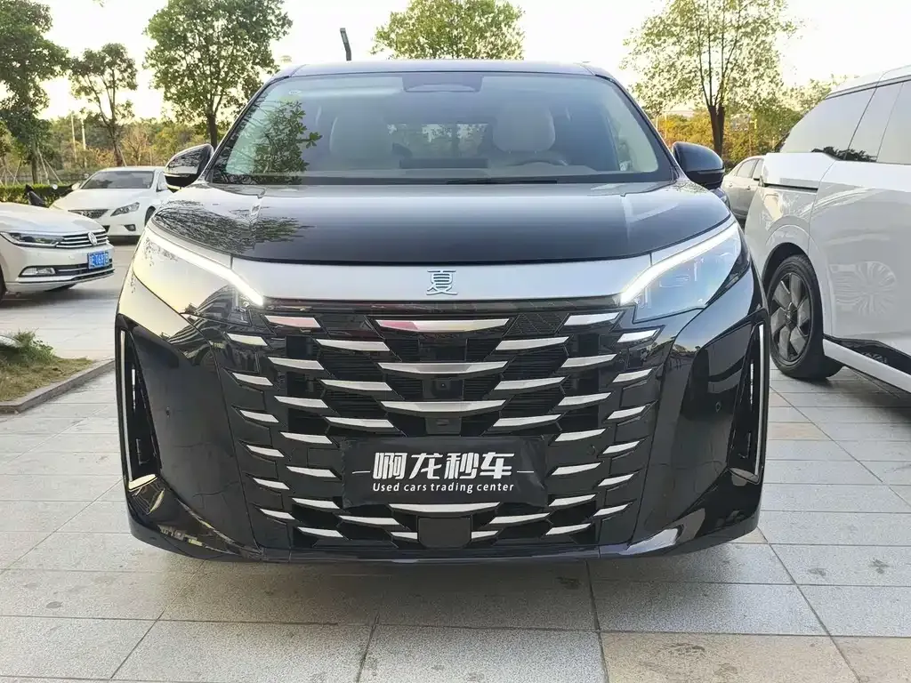 BYD Xia 2025 из CN, фото 6