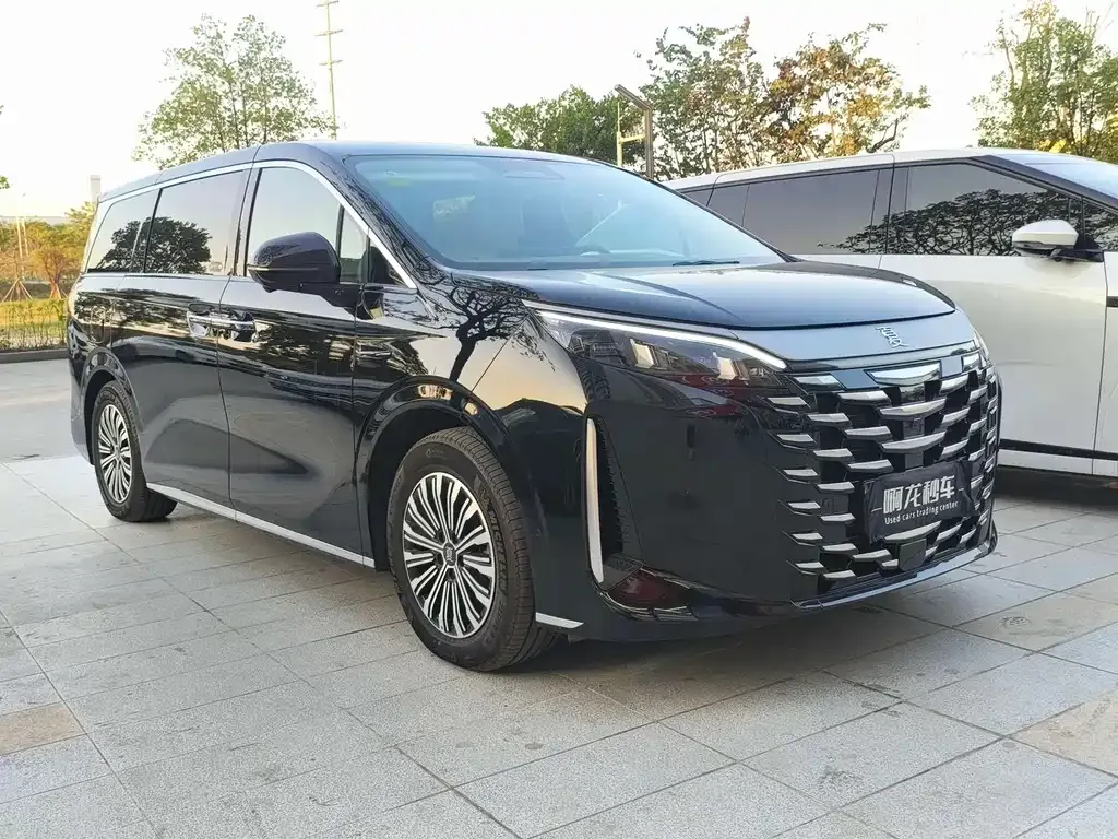 BYD Xia 2025 из CN, фото 9