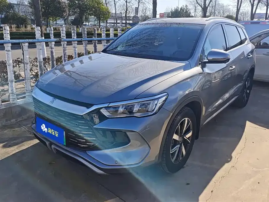 BYD Pro New Energy 2024 из CN, фото 1
