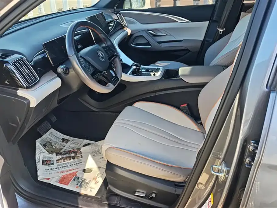 BYD Pro New Energy 2024 из CN, фото 9