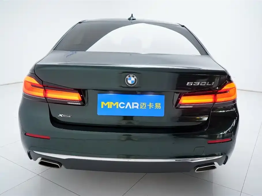 BMW 5 Series 2023 из CN, фото 4