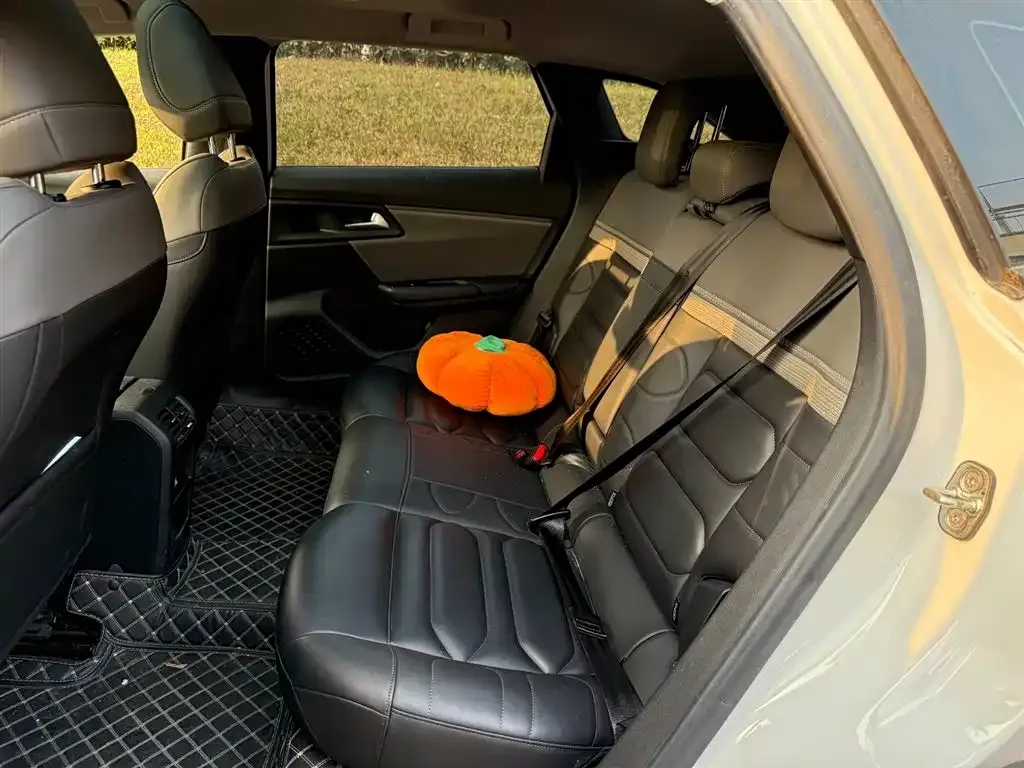 Citroen C5 X 2022 из CN, фото 9