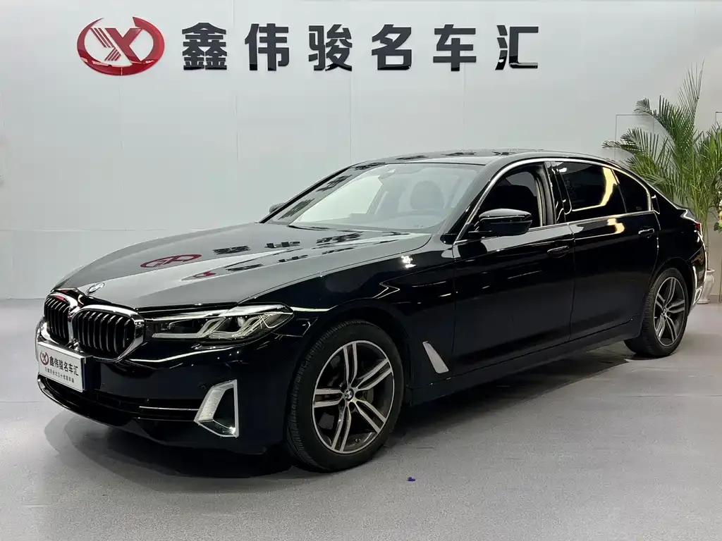 BMW 5 Series 2022 из CN, фото 1