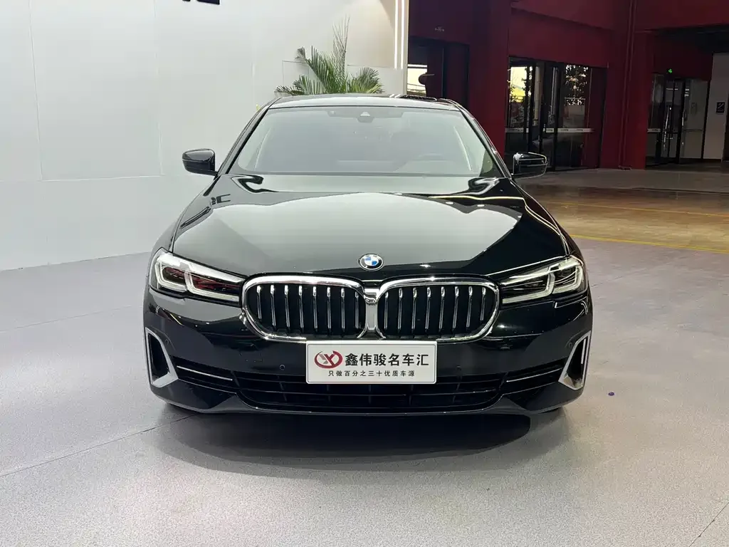 BMW 5 Series 2022 из CN, фото 5