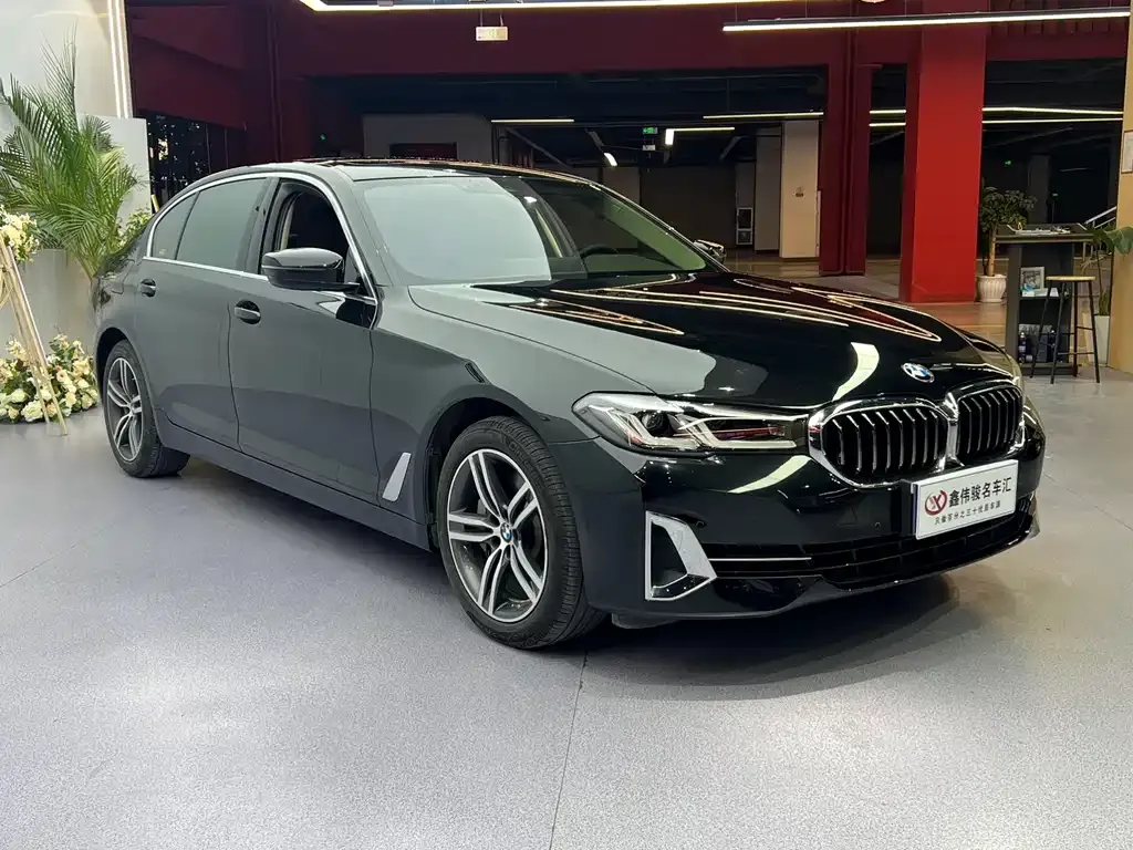 BMW 5 Series 2022 из CN, фото 2