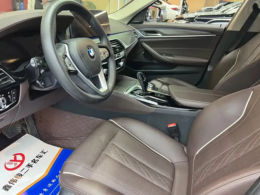 BMW 5 Series 2022 из CN, фото 6