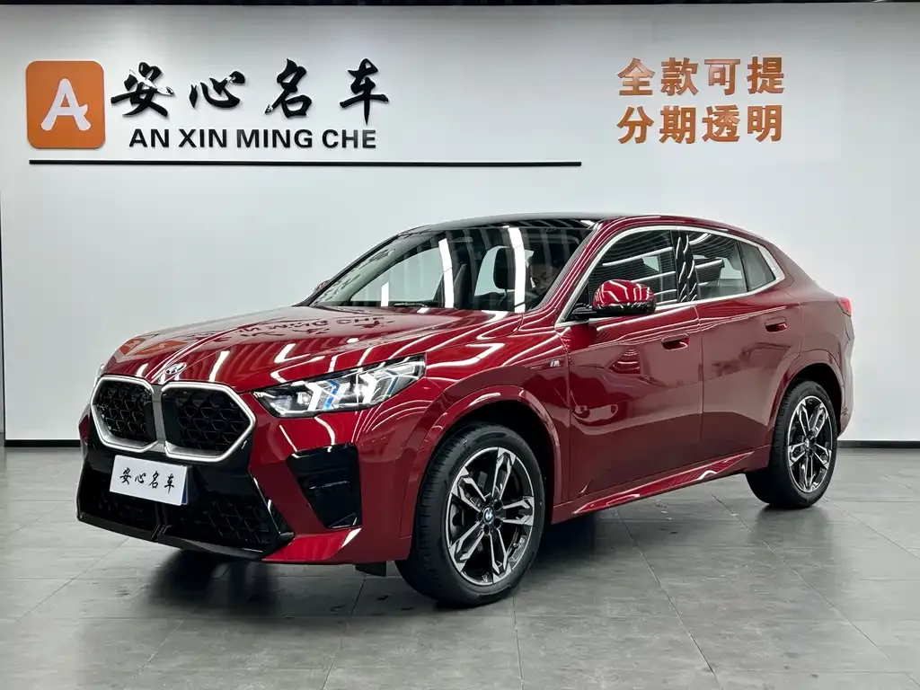 BMW X2 (Import) — фото 1
