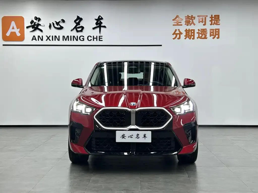 BMW X2 (Import) — фото 6