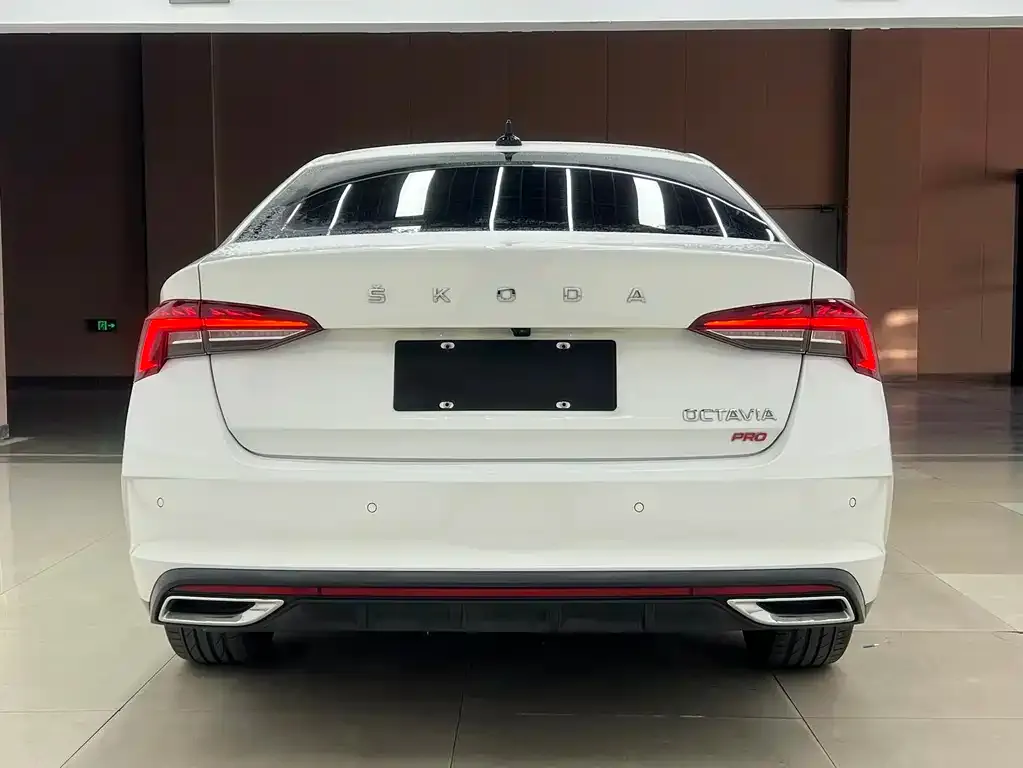Skoda Octavia 2021 из CN, фото 6