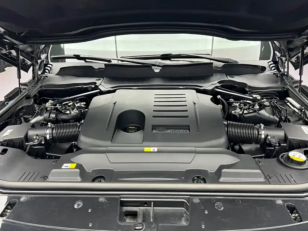 Land Rover Range Rover 2021 из CN, фото 10