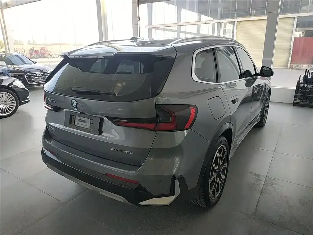 [object Object] iX1 2024 из CN, фото 7