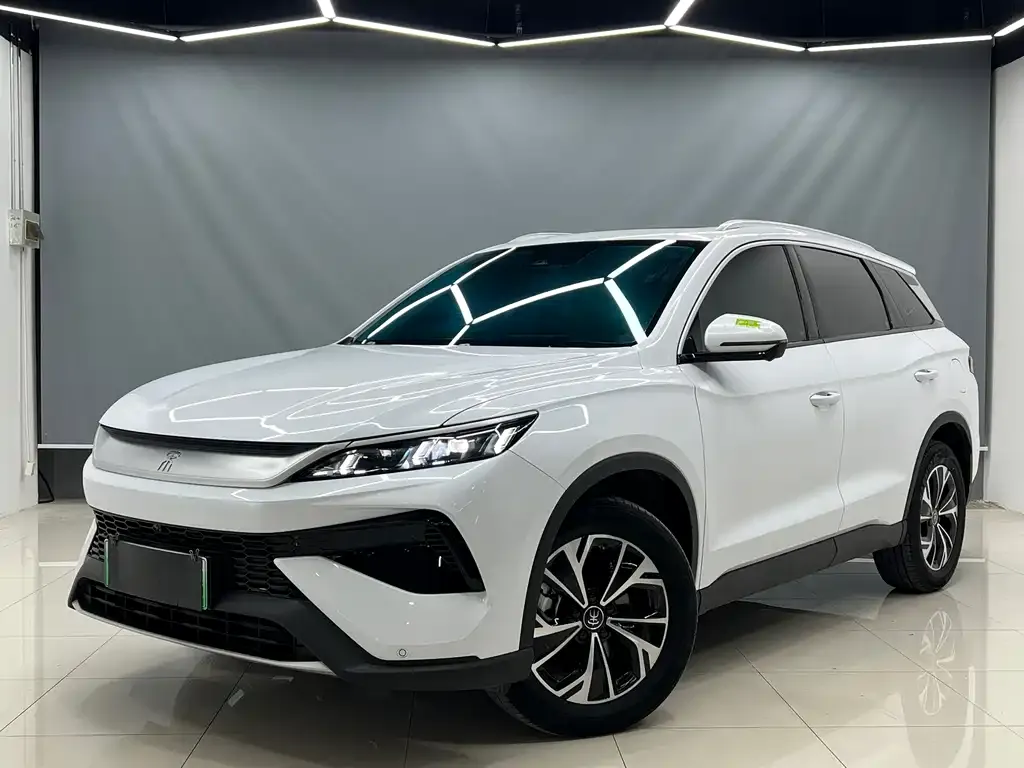BYD Pro New Energy — фото 1