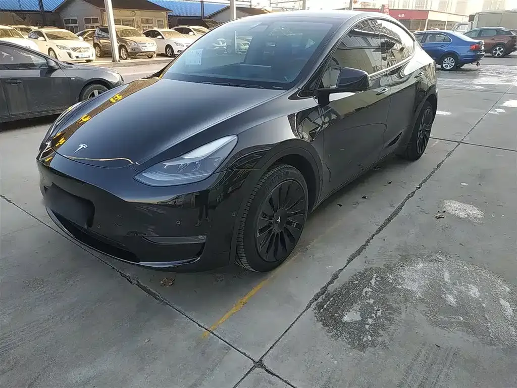 Tesla Model Y 2022 из CN, фото 1