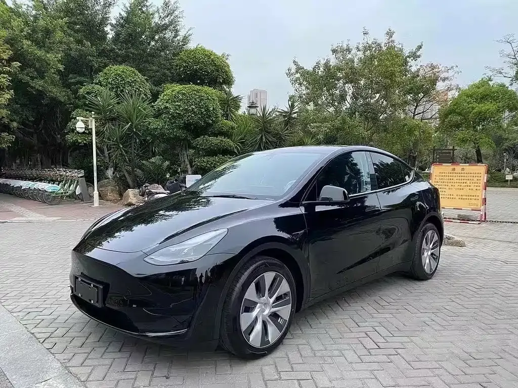 Tesla Model Y 2021 из CN, фото 1