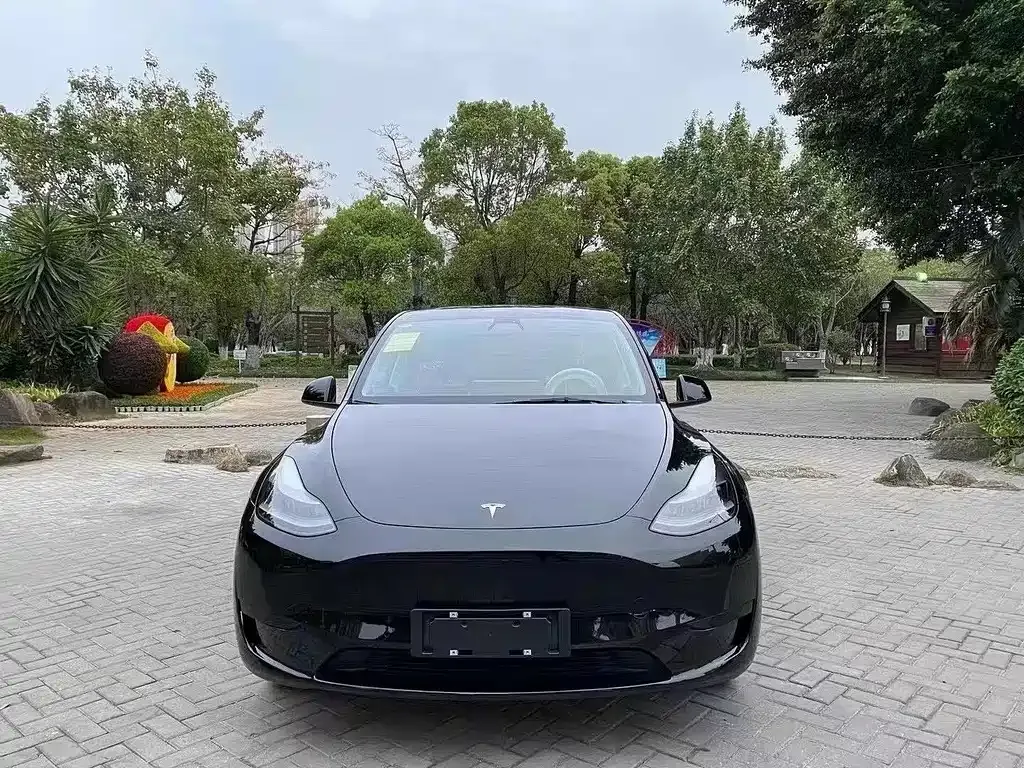 Tesla Model Y 2021 из CN, фото 4