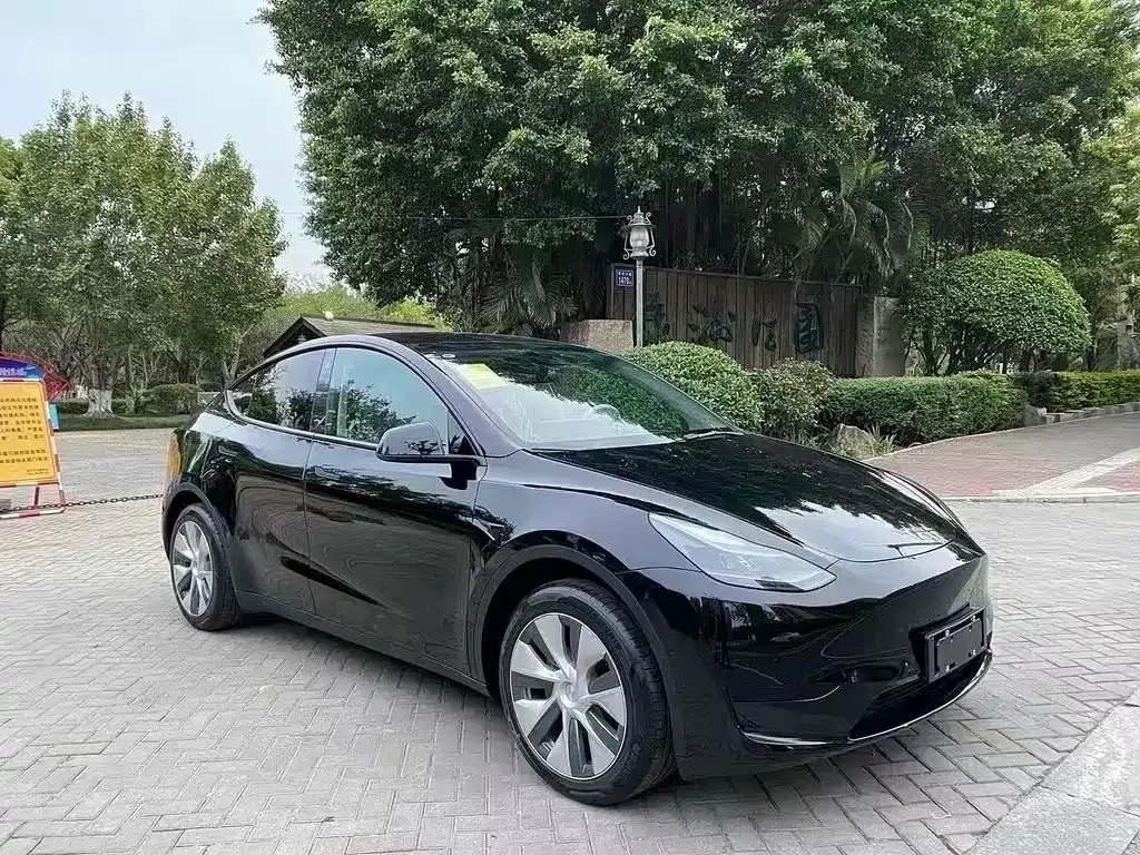 Tesla Model Y 2021 из CN, фото 6