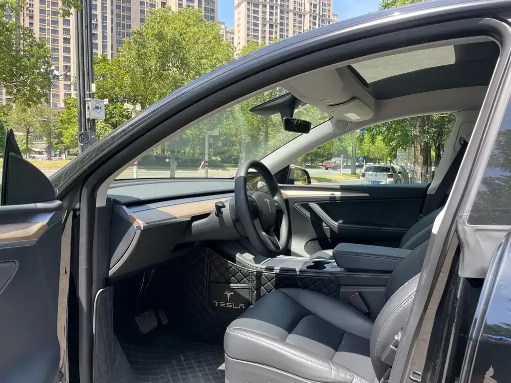 Tesla Model Y 2021 из CN, фото 9