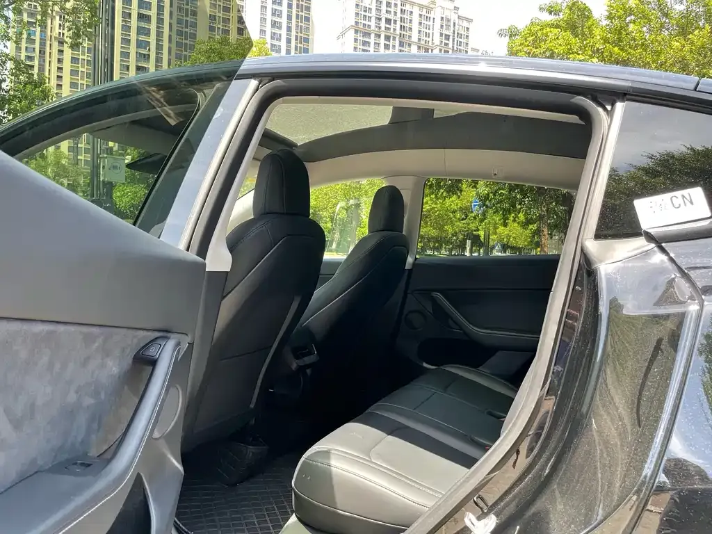 Tesla Model Y 2021 из CN, фото 3