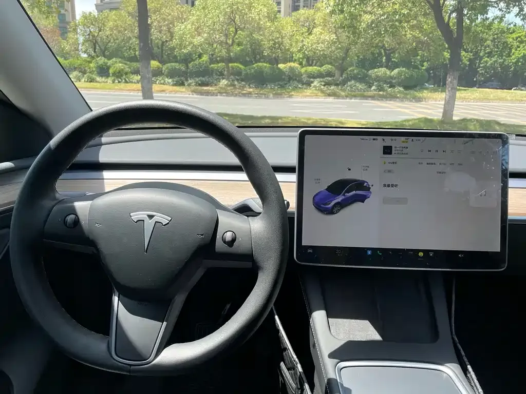 Tesla Model Y 2021 из CN, фото 2