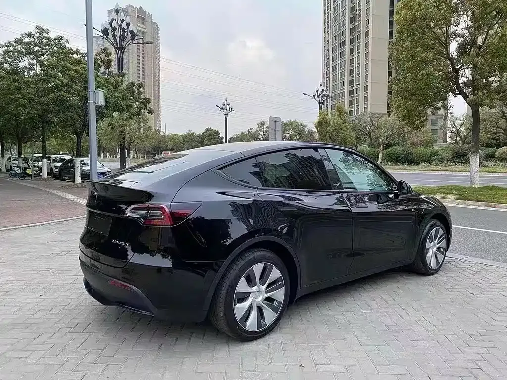 Tesla Model Y 2021 из CN, фото 5