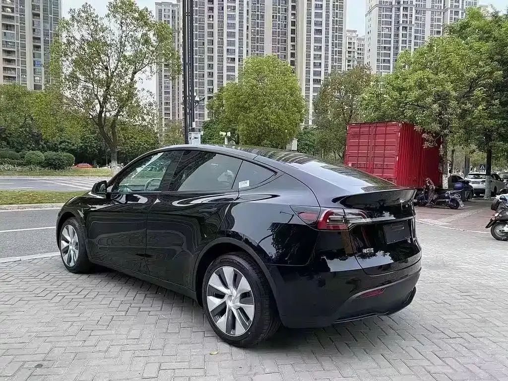 Tesla Model Y 2021 из CN, фото 7
