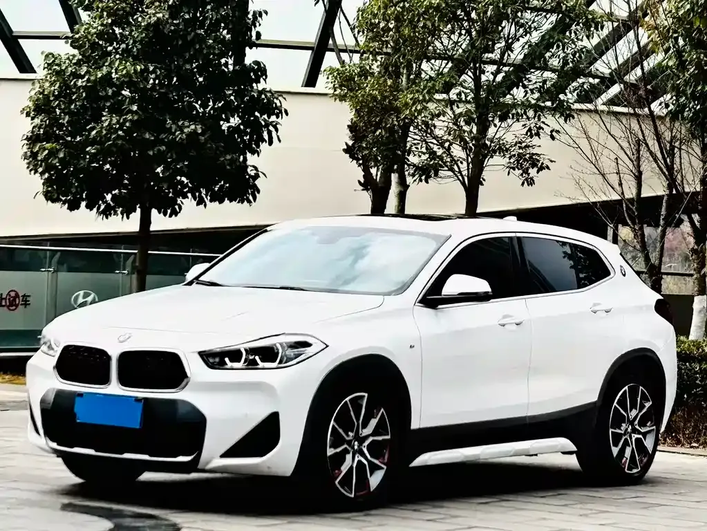 BMW X2 — фото 1