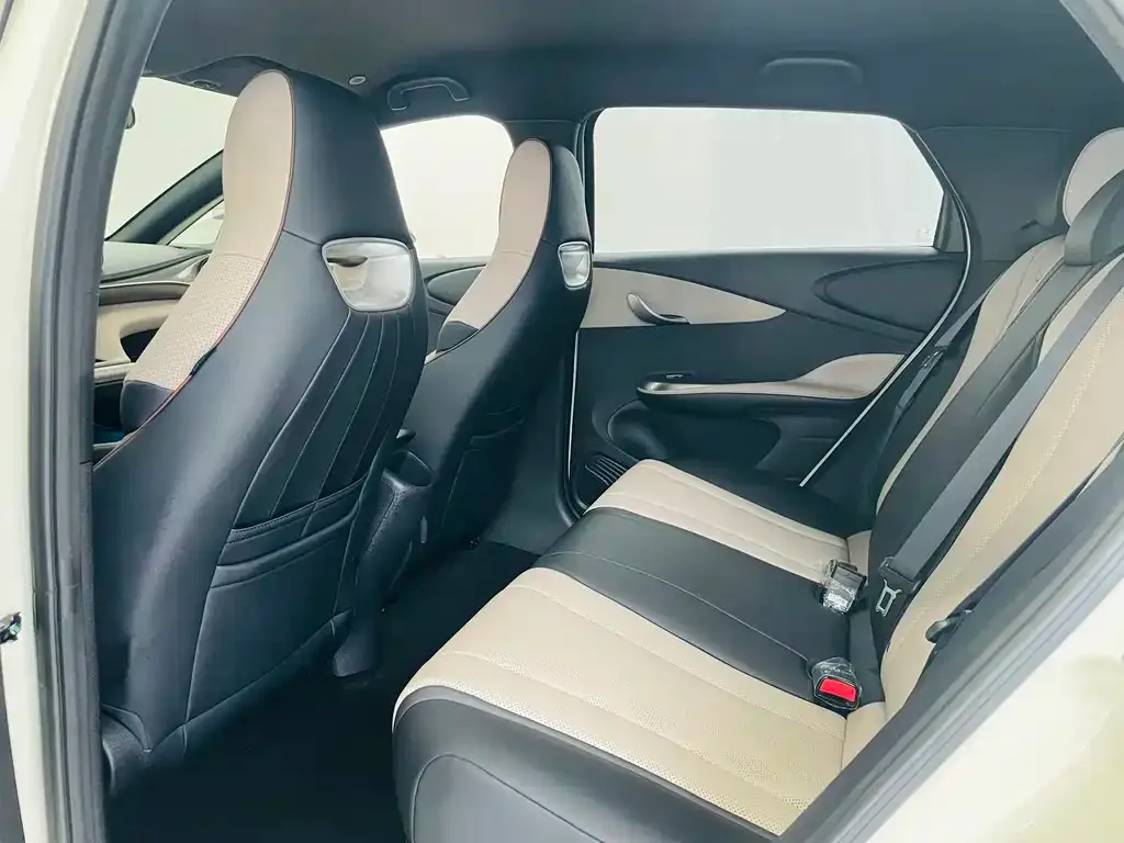 [object Object] Dolphin 2025 из CN, фото 10