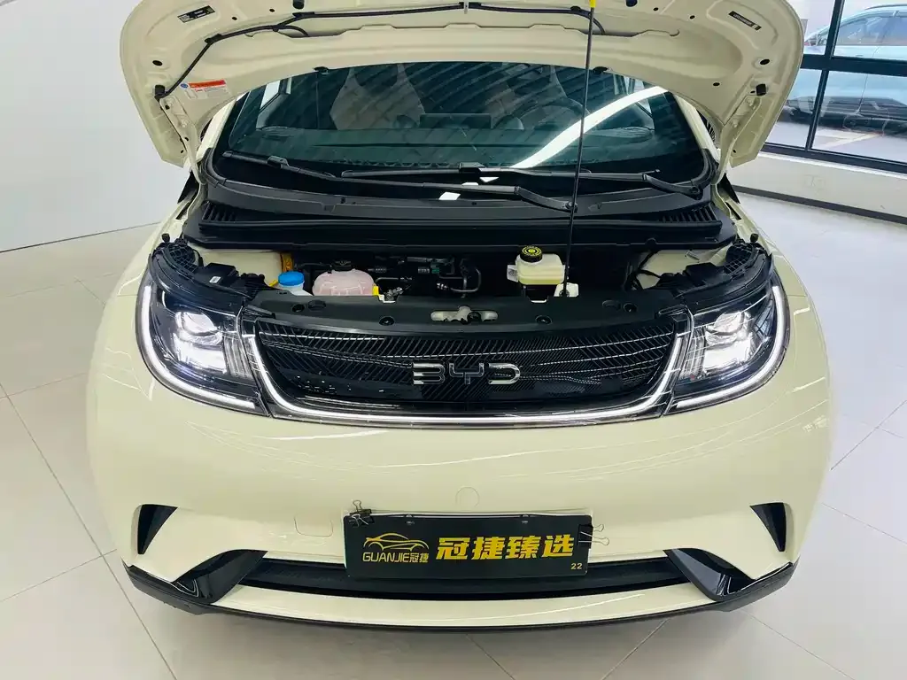 [object Object] Dolphin 2025 из CN, фото 2