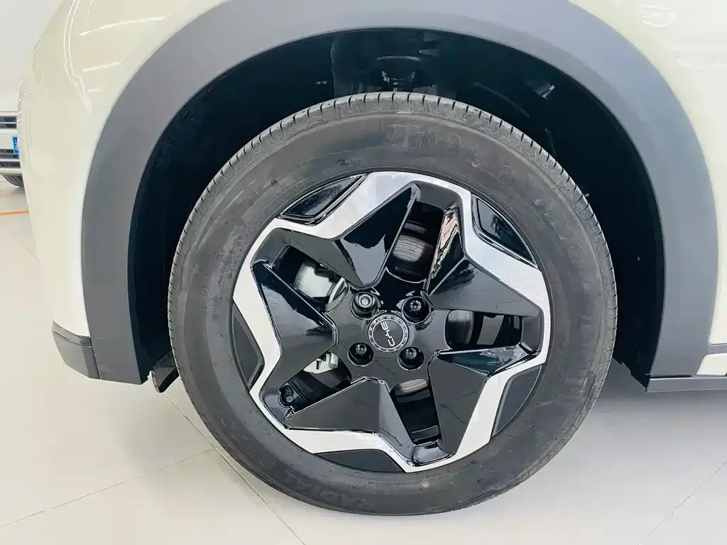 [object Object] Dolphin 2025 из CN, фото 3