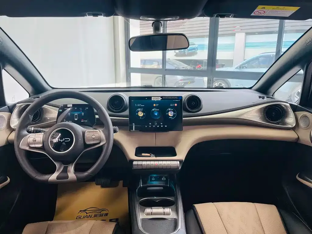 [object Object] Dolphin 2025 из CN, фото 7