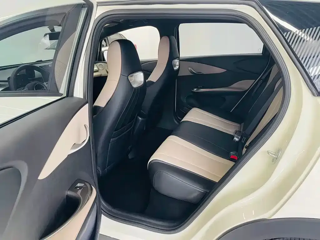 [object Object] Dolphin 2025 из CN, фото 9