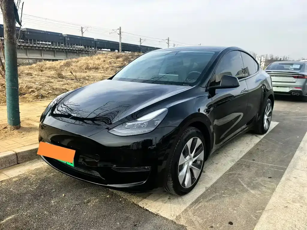 Tesla Model Y 2021 из CN, фото 1