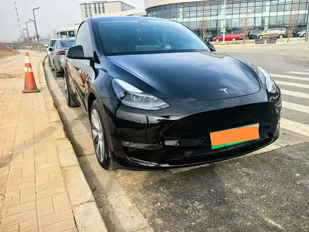 Tesla Model Y 2021 из CN, фото 6