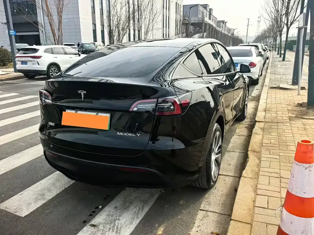 Tesla Model Y 2021 из CN, фото 8