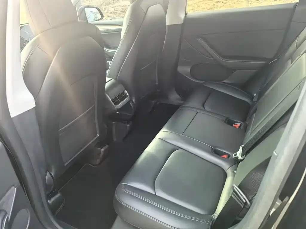 Tesla Model Y 2021 из CN, фото 2