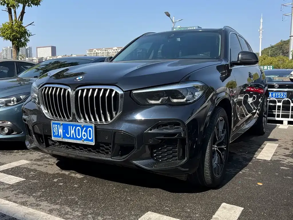 BMW X5 (Import) 2022 из CN, фото 1