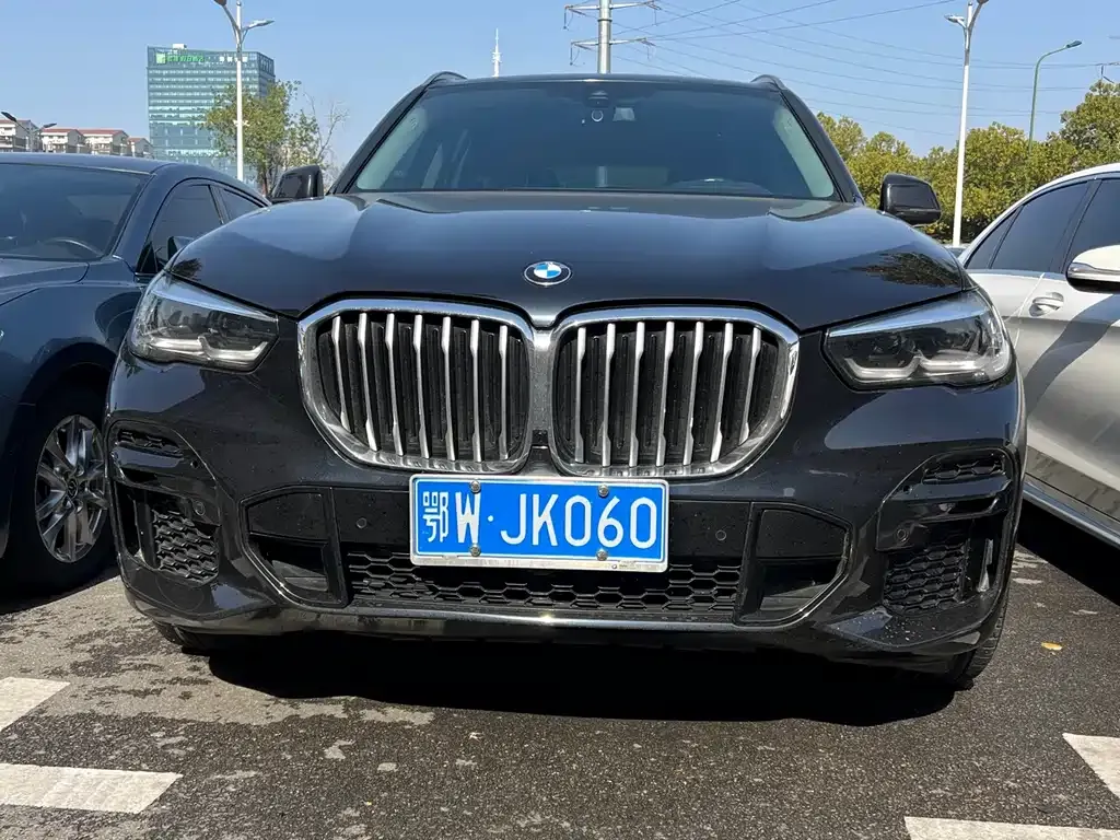 BMW X5 (Import) 2022 из CN, фото 10
