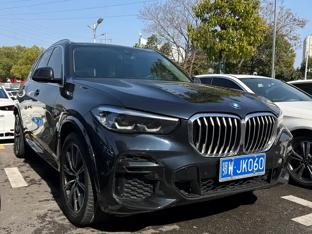 BMW X5 (Import) 2022 из CN, фото 9