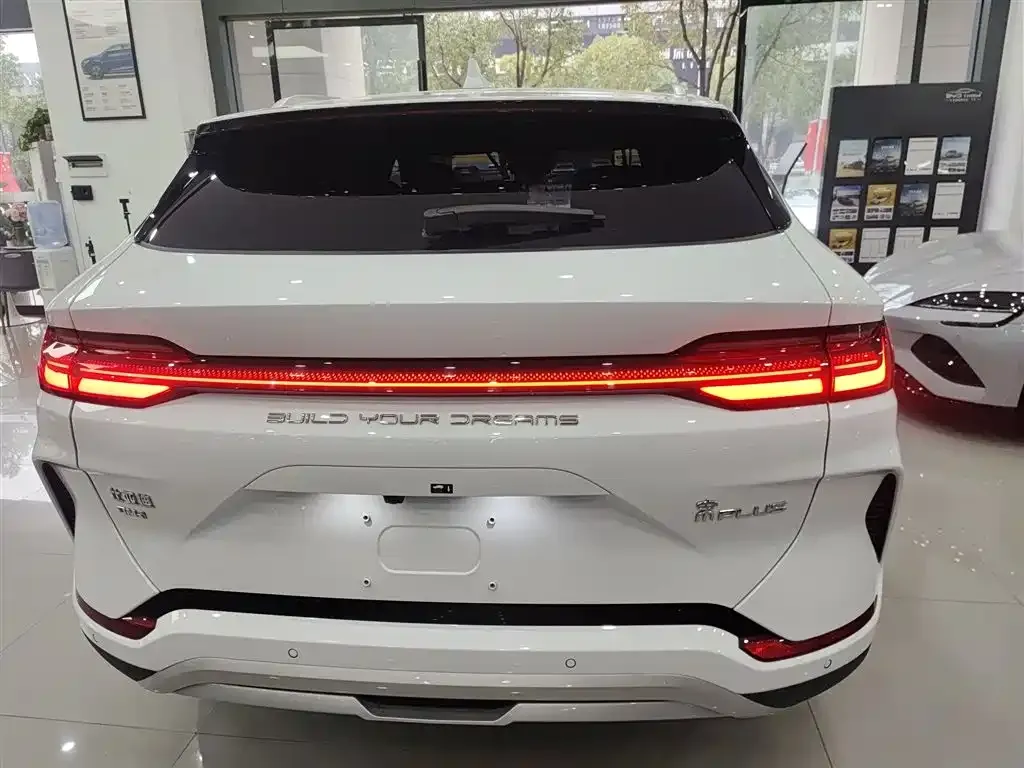 BYD PLUS New Energy 2023 из CN, фото 9