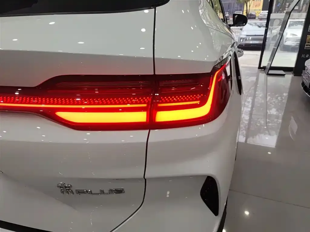BYD PLUS New Energy 2023 из CN, фото 3