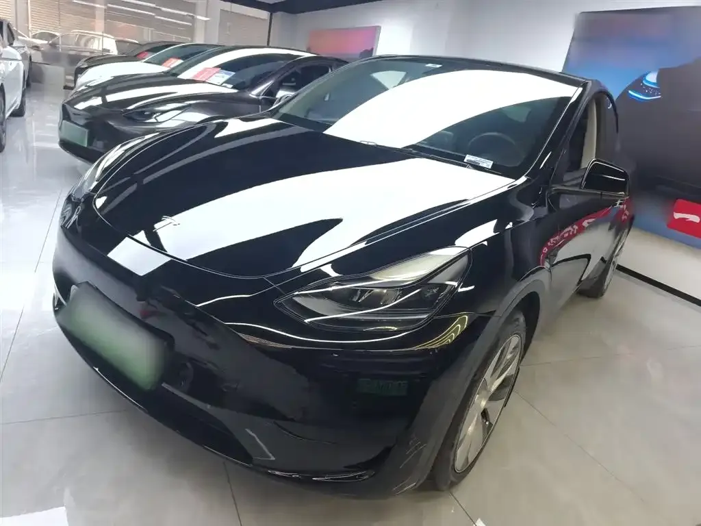 Tesla Model Y — фото 9