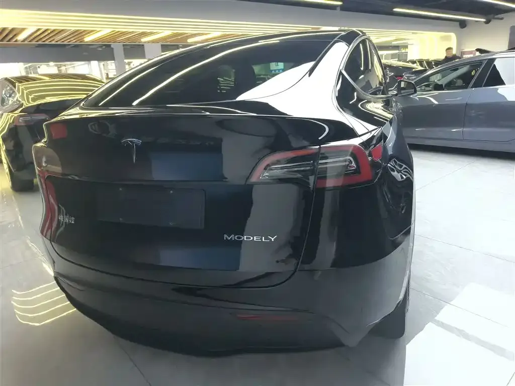 Tesla Model Y — фото 10