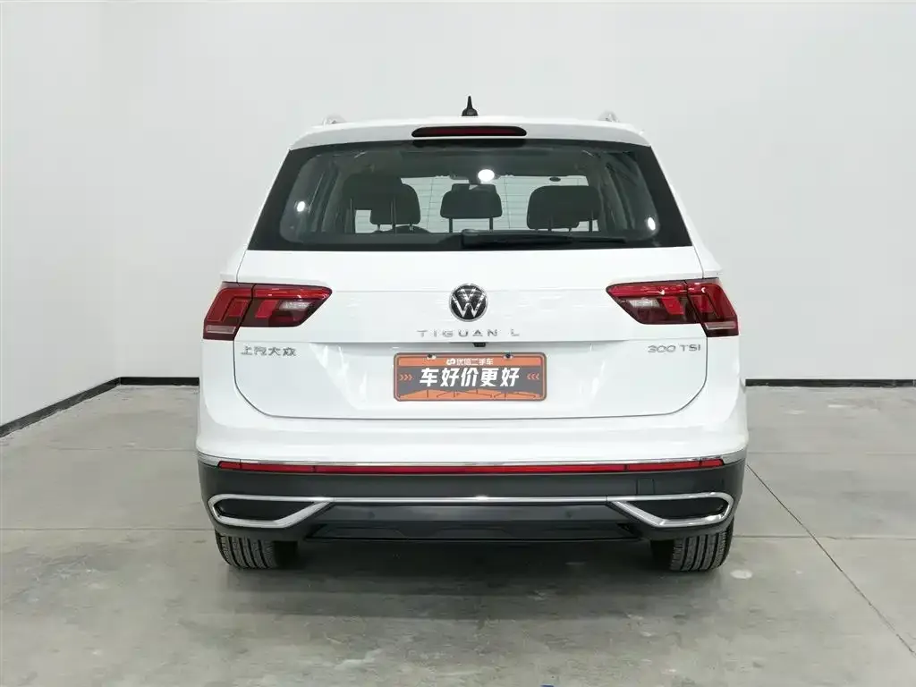 Volkswagen Tiguan L 2023 из CN, фото 7