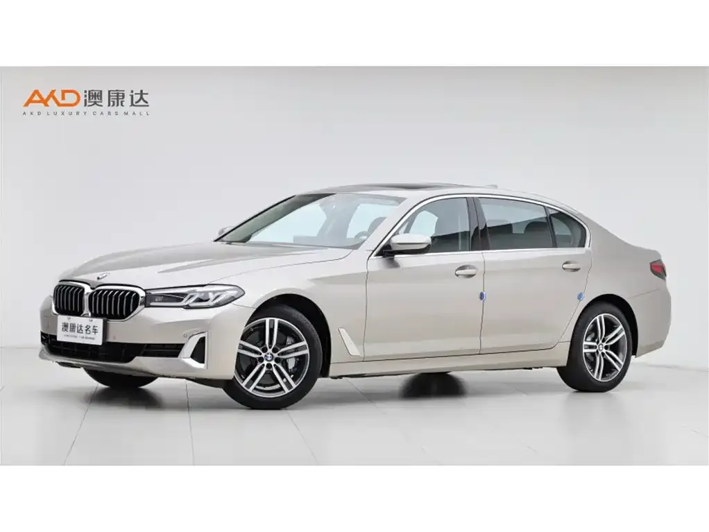 BMW 5 Series 2021 из CN, фото 1