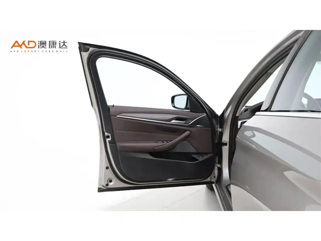 BMW 5 Series 2021 из CN, фото 8