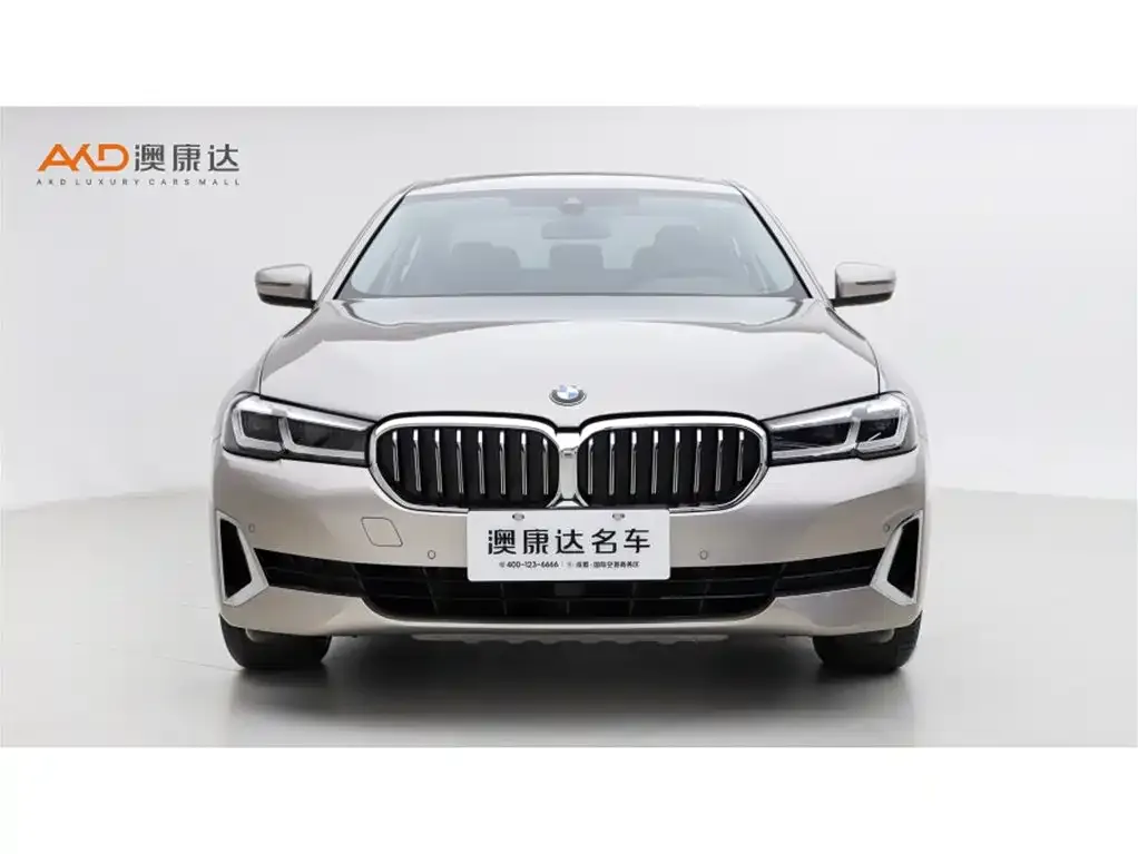 BMW 5 Series 2021 из CN, фото 2