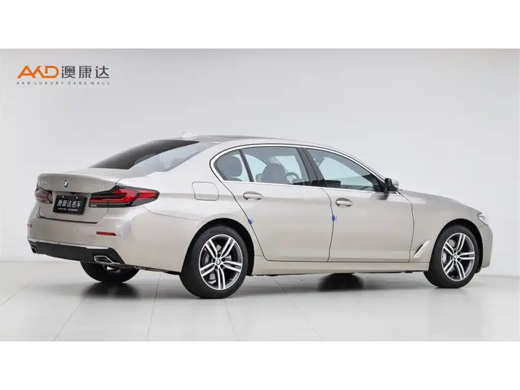BMW 5 Series 2021 из CN, фото 5
